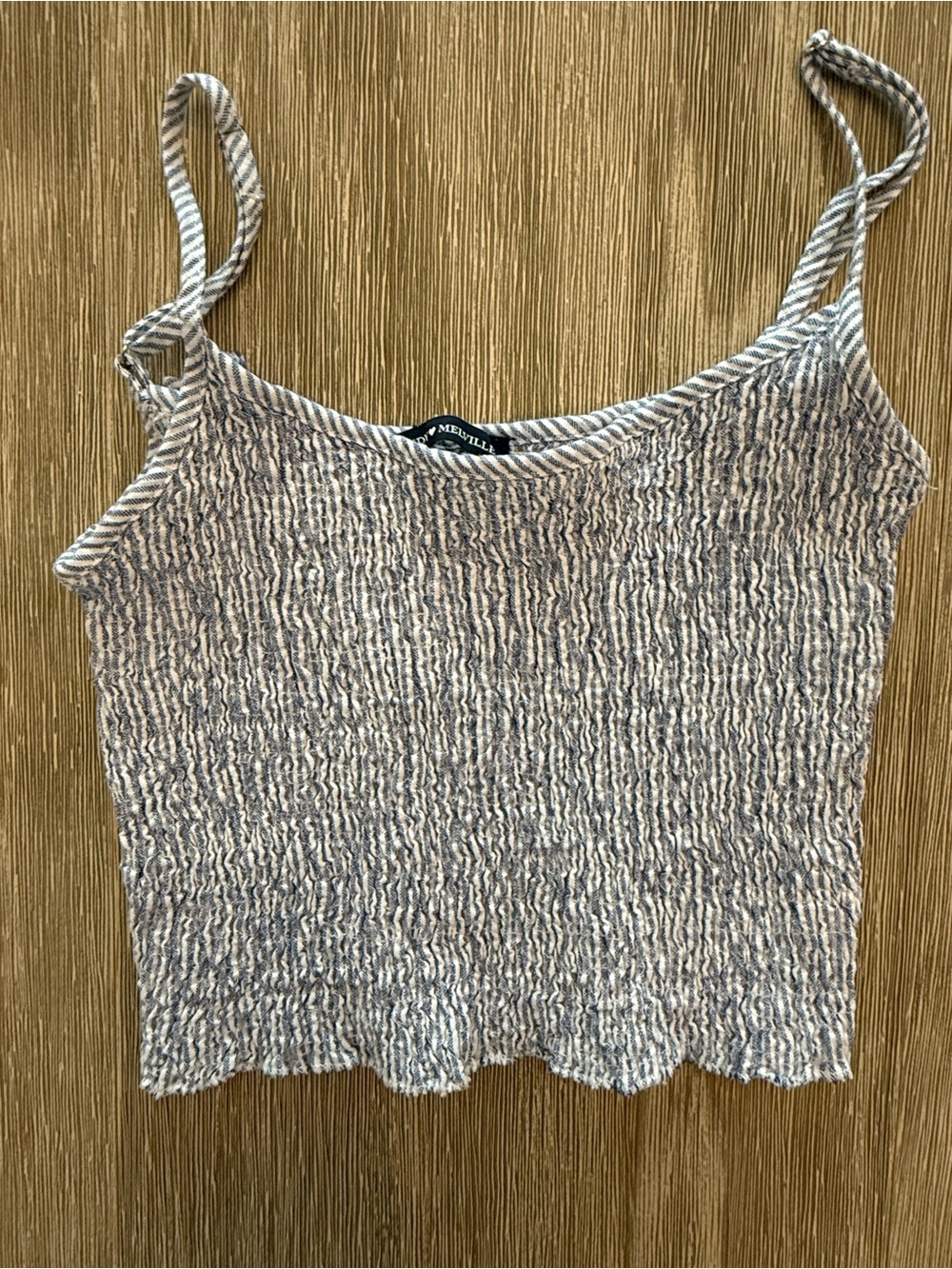 Brandy Melville Blue & White Seersucker Smocked Crop Tank Top One Size